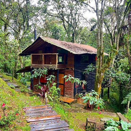 Villa La Cabana Musical Medellín Exterior foto